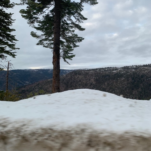 Meet your Posher, Valentina - Picture 1 of 1